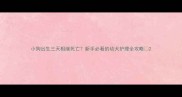小狗出生三天相继死亡新手必看的幼犬护理全攻略