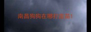 南昌狗狗在哪打疫苗