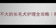 小狗不掉毛长不大的长毛犬护理全攻略科学养宠指南