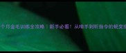 三个月金毛训练全攻略新手必看从啃手到听指令的蜕变指南