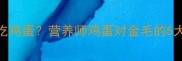 金毛幼犬能不能吃鸡蛋营养师鸡蛋对金毛的5大好处和3大禁忌