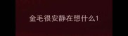 金毛很安静在想什么