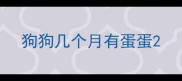 狗狗几个月有蛋蛋