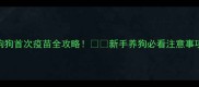 半岁狗狗首次疫苗全攻略新手养狗必看注意事项