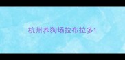 杭州养狗场拉布拉多