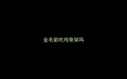 金毛能吃鸡骨架吗