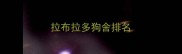拉布拉多狗舍排名