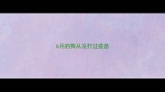 6月的狗从没打过疫苗