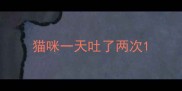 猫咪一天吐了两次