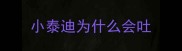 小泰迪为什么会吐