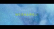 哈尔滨哈士奇咬人