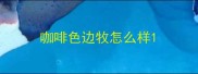 咖啡色边牧怎么样