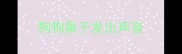 狗狗鼻子发出声音