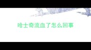 哈士奇流血了怎么回事