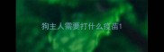 狗主人需要打什么疫苗