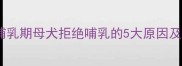 母狗不愿喂奶怎么办哺乳期母犬拒绝哺乳的5大原因及解决方法新手养狗必看