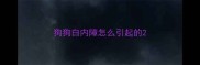 狗狗白内障怎么引起的