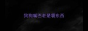 狗狗嘴巴老是嚼东西