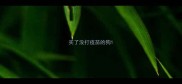 买了没打疫苗的狗