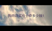 狗肉店买哈士奇多少钱
