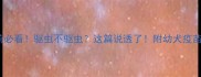 狗狗打疫苗前必看驱虫不驱虫这篇说透了附幼犬疫苗驱虫全攻略