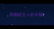 狗狗咬主人的衣服