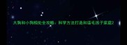大狗和小狗相处全攻略科学方法打造和谐毛孩子家庭