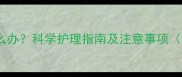 狗狗打完疫苗后总睡觉怎么办科学护理指南及注意事项附疫苗后恢复期全攻略