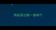 狗疫苗过敏一直喘气