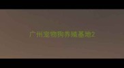 广州宠物狗养殖基地