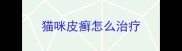 猫咪皮癣怎么治疗