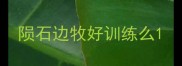 陨石边牧好训练么