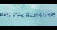 2个月大泰迪犬能剪指甲吗新手必看正确修剪教程附超详细操作步骤