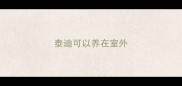 泰迪可以养在室外