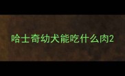 哈士奇幼犬能吃什么肉