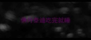 俩月泰迪吃完就睡