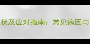 泰迪犬尿血症状及应对指南常见病因与家庭护理措施