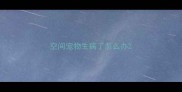 空间宠物生病了怎么办
