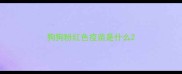 狗狗粉红色疫苗是什么