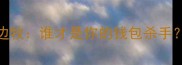 萨摩耶vs边牧谁才是你的钱包杀手价格全
