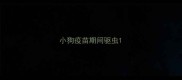 小狗疫苗期间驱虫
