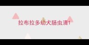 拉布拉多幼犬肠虫清