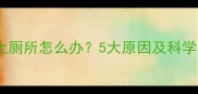 狗狗频繁上厕所怎么办5大原因及科学应对指南