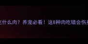 泰迪不能吃什么肉养宠必看这8种肉吃错会伤身甚至致命