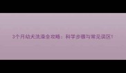 3个月幼犬洗澡全攻略科学步骤与常见误区