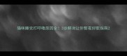 猫咪睡觉打呼噜原因全3步解决让你整夜好眠指南