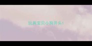 玩具宝贝小狗开头