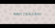 狗狗打了疫苗总是吐