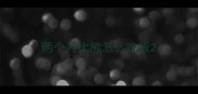 两个月比熊怎么吃饭
