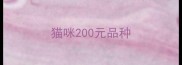 猫咪200元品种